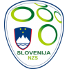 Fodboldtøj Slovenien